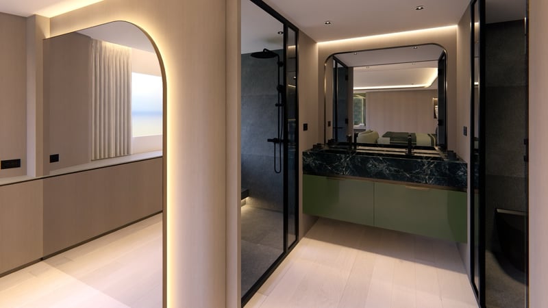 Master bathroom vanity and shower